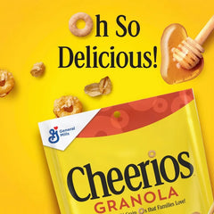 Cheerios Honey Nut Granola - 10oz