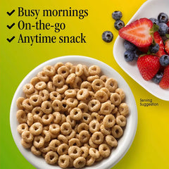 General Mills Family Size Apple Cinnamon Cheerios Cereal - 19oz