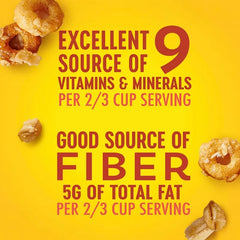 Cheerios Honey Nut Granola - 10oz